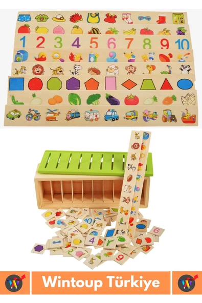Premium Eğitici Zeka Koordinasyon Geliştirici Kişisel Gelişim Çocuk Ahşap Bilgi Sınıflandırma Kutusu - Resim 2