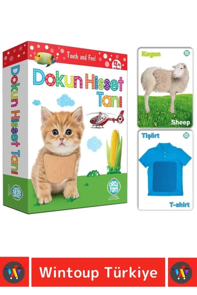 Premium Eğitici Duyusal Gelişim Görsel Algı Eğlenceli Öğrenme Çocuk Dokun Hisset Tanı Eğitim Kartlar - Resim 3