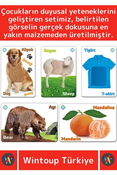 Premium Eğitici Duyusal Gelişim Görsel Algı Eğlenceli Öğrenme Çocuk Dokun Hisset Tanı Eğitim Kartlar - Resim 2