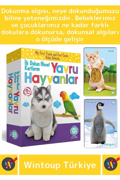 Premium Eğitici Çocuk Gelişimi Eğlenceli Öğrenme Dokun Hisset Tanı Yavru Hayvanlar Eğitim Kartları - 2