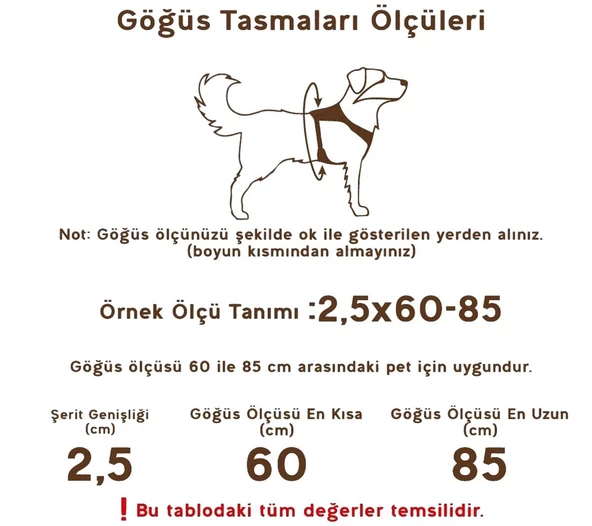 Esnek Yumuşak Doku Köpek Göğüs Tasma Takım 2x34-52 Cm - 5