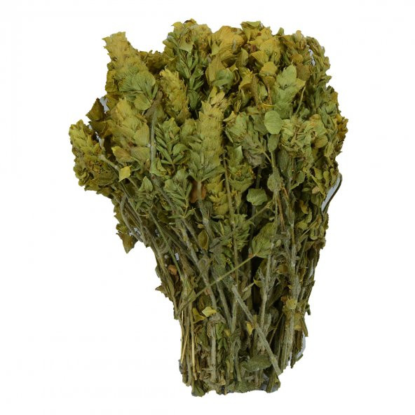 Adaçayı Akdeniz Yöresi Demet Doğal Dağ Çayı 100 Gr Paket - 5