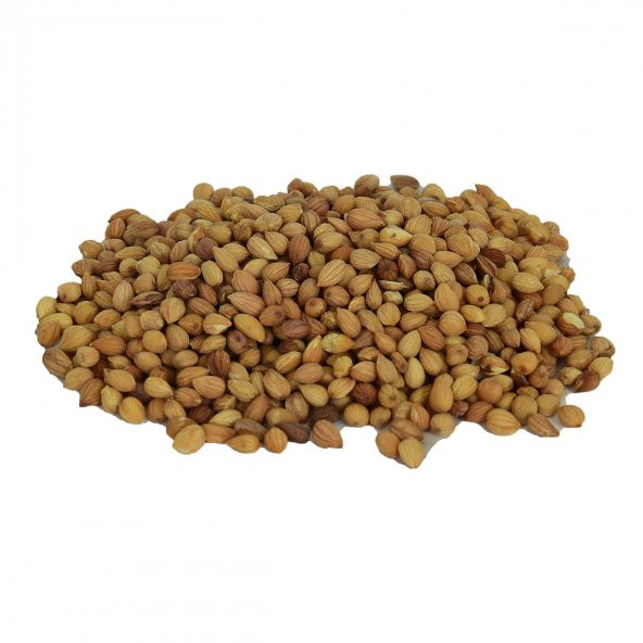 LokmanAVM Mahlep Doğal Tane 100 Gr Paket - 5