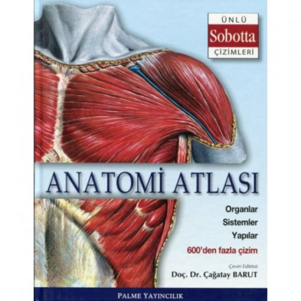 Anatomi Atlası Ünlü Sobotta Çizimleri - Palme