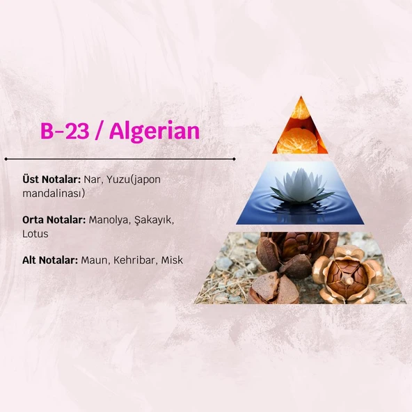 David Walker ALGERIAN B23 50ML Çiçek&Odun Kadın Parfüm - 3