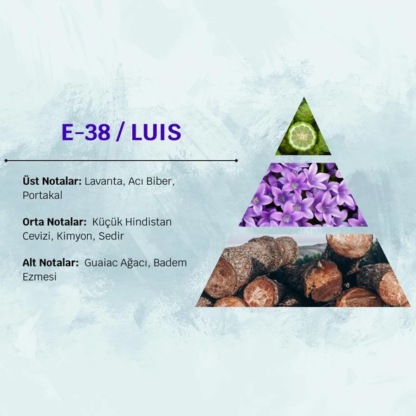 David Walker LUIS E38 50ML Meyve&Baharat Erkek Parfüm - Resim 3