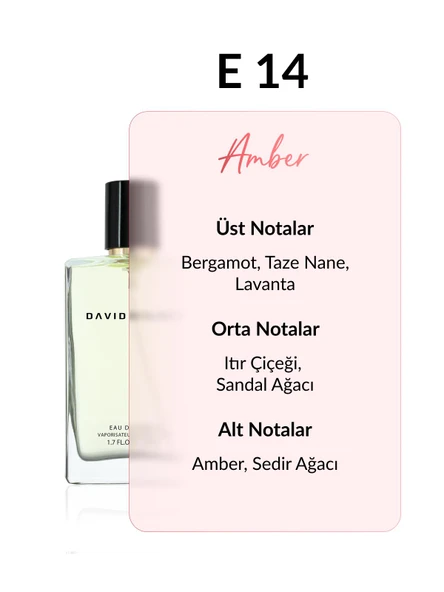 David Walker BRUNET E14 Exclusive 50ML Erkek Parfüm | Amber - Resim 2
