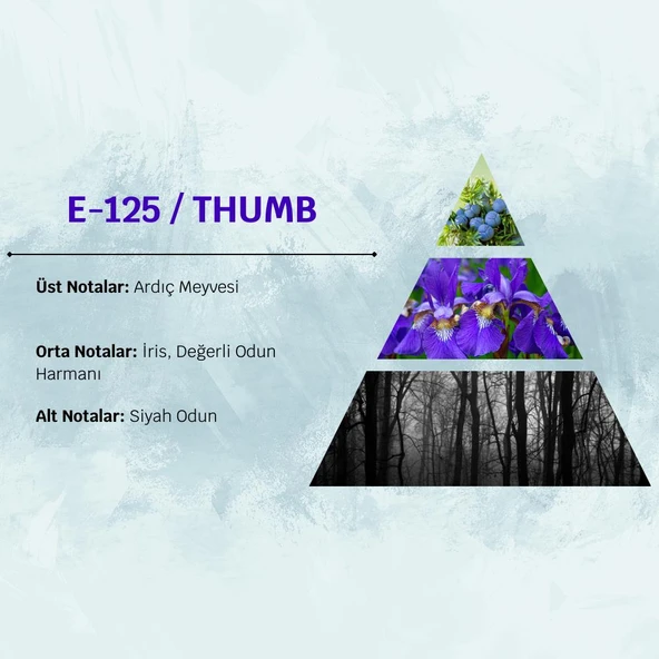 David Walker THUMB E125 50ML Aromatik&Odunsu  Erkek Parfüm - Resim 3