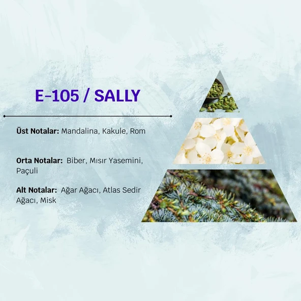 David Walker SALLY E105 50ML Odunsu  Erkek Parfüm - Resim 3