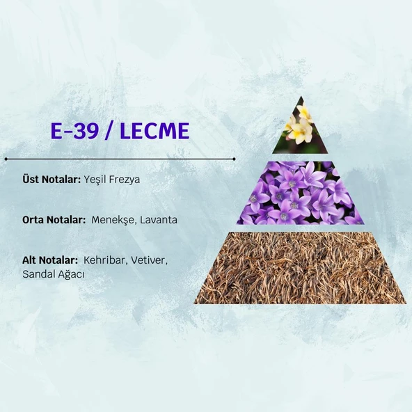 David Walker LECME E39 50ML Odunsu Erkek Parfüm - Resim 3