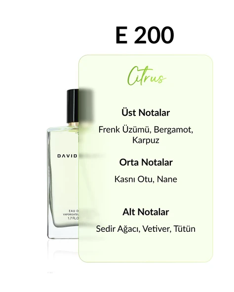 David Walker CASTTLE E200 Exclusive 50 ML Erkek Parfüm | Citrus - Resim 2