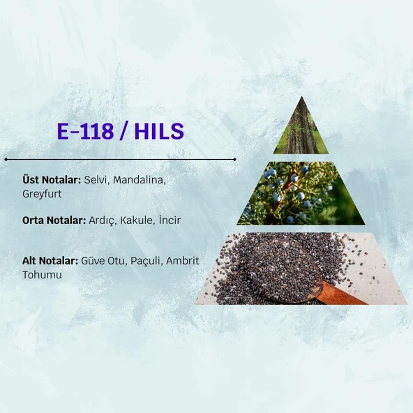 David Walker HILS E118 50ML Ferah  Erkek Parfüm - Resim 3