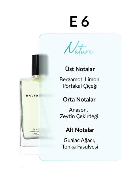 David Walker SMITH E6 Exculisive 50ML Erkek Parfüm | Woody-Fresh - Resim 2