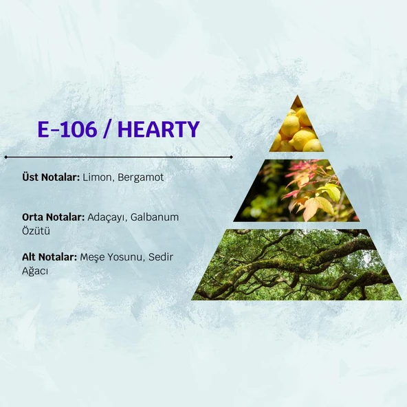 David Walker HEARTY E106 50ML Ferah  Erkek Parfüm - Resim 3