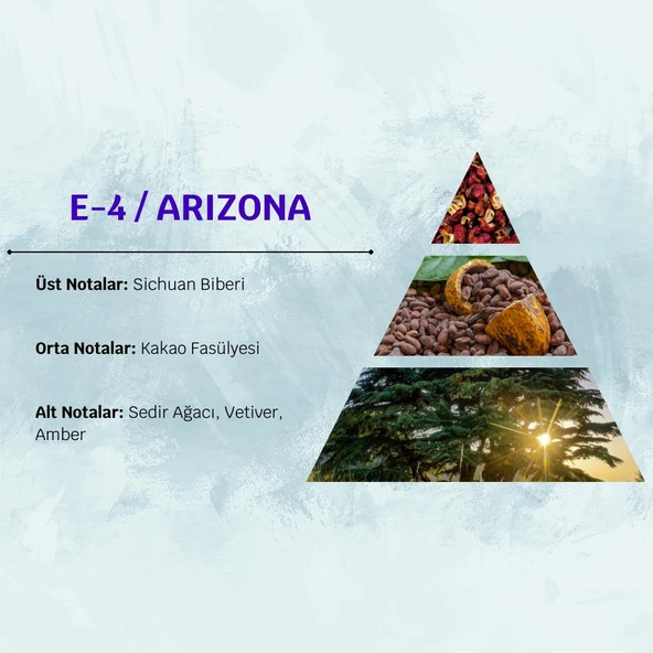 David Walker ARIZONA E4 50ML Odunsu Erkek Parfüm - Resim 3