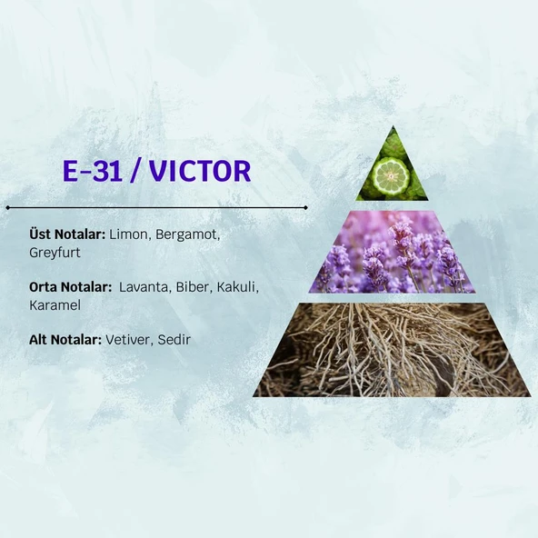 David Walker VICTOR E31 50ML Meyve&Misk Erkek Parfüm - Resim 3