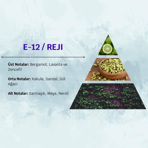 David Walker REJI E12 50ML Odunsu Erkek Parfüm - Resim 3