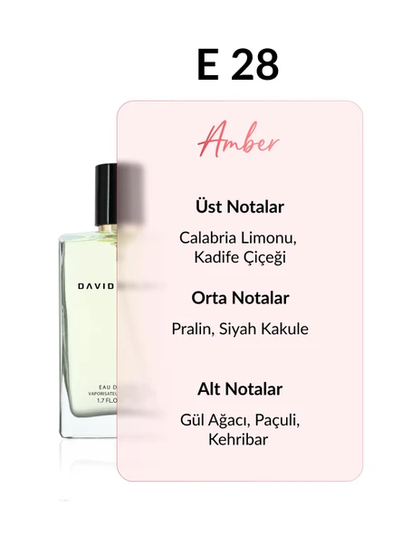 David Walker E28 Exclusive 50ML Erkek Parfüm | Amber - Resim 2
