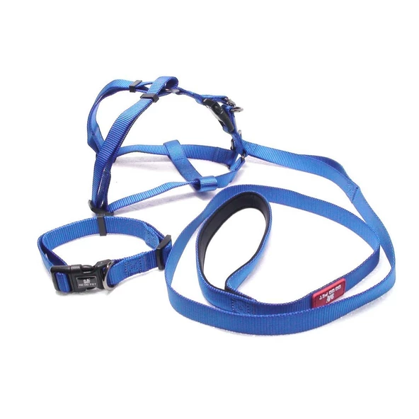 Köpek Boyun & Göğüs Tasma Takım Small - 5