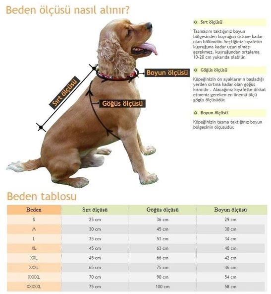 Köpek Boyun & Göğüs Tasma Takım Small - 6