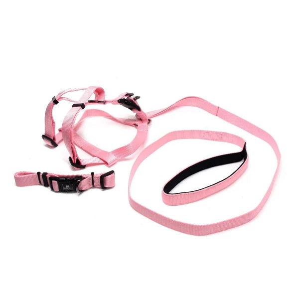 Köpek Boyun & Göğüs Tasma Takım Small - 3