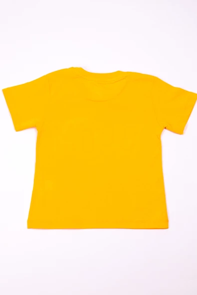 ERKEK ÇOCUK TSHİRT BASKILI A17 - 2