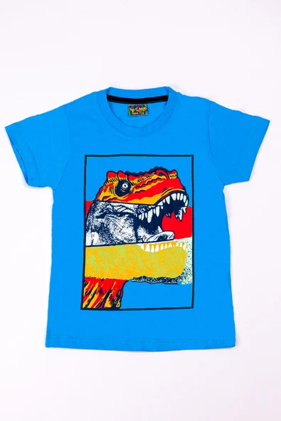 ERKEK ÇOCUK TSHİRT DİNOZOR BASKILI A28 - 2