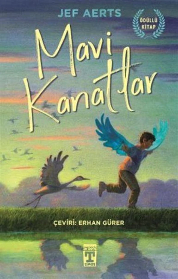 Mavi Kanatlar JEF AERTS