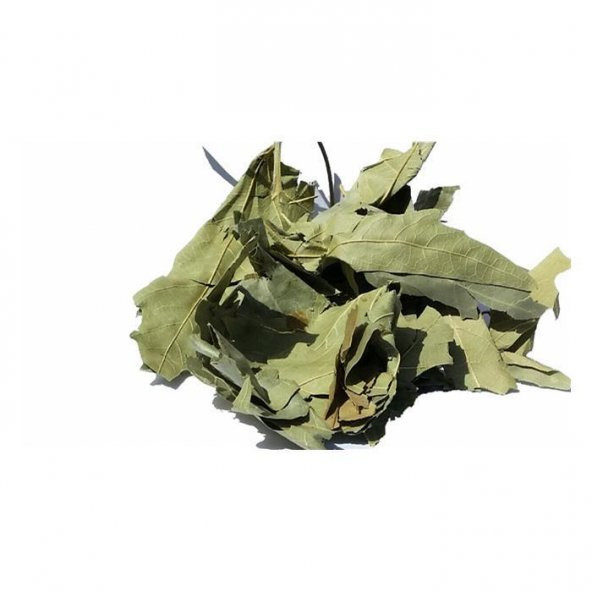 BenimAktar Çınar Yaprağı 500 Gr - 2