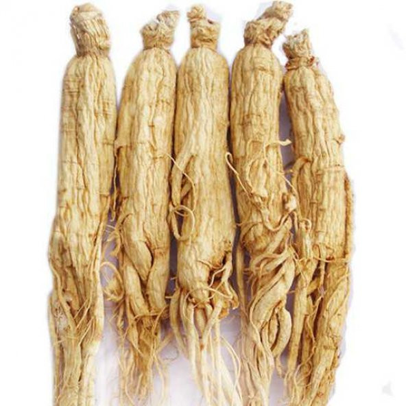 BenimAktar Ginseng ( Adam otu ) 100 Gr - 2