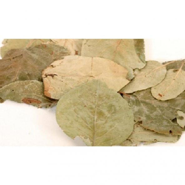 BenimAktar Ayva Yaprağı 100 Gr - 2