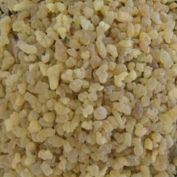 BenimAktar Ak Günlük Sığla Sakızı 1 Kg - 2