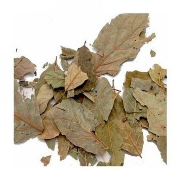 BenimAktar Avokado Yaprağı 100 Gr - 2