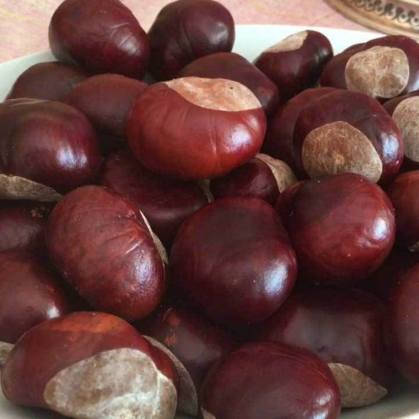 BenimAktar At Kestanesi 100 Gr - 2