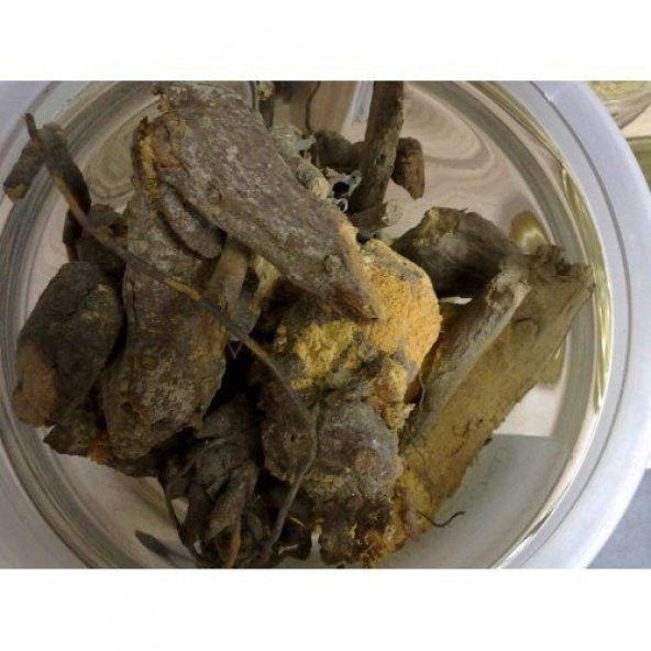 BenimAktar Böğürtlen Kökü 100 Gr - 2