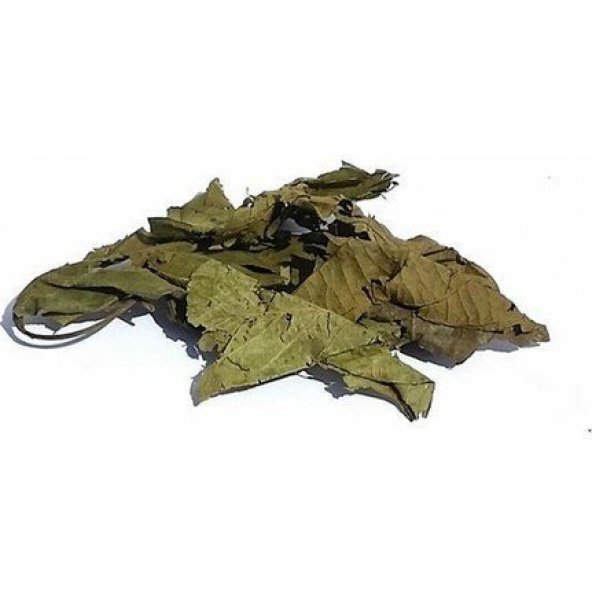 BenimAktar Ceviz Yaprağı 1 Kg - 2