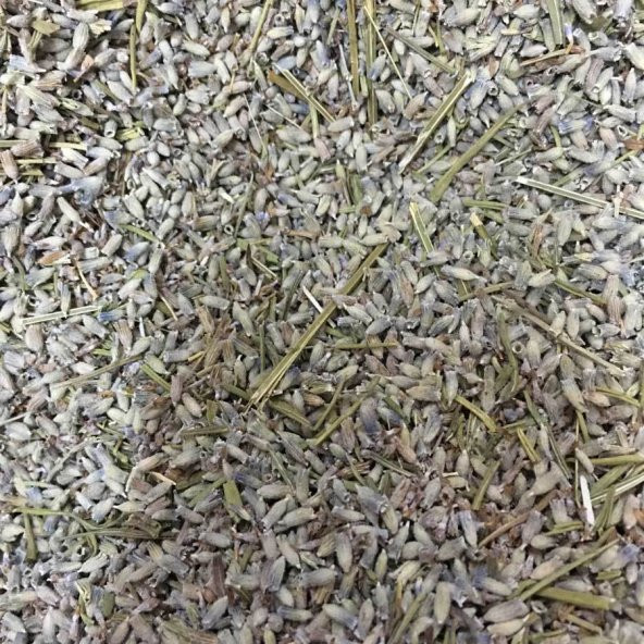 BenimAktar Lavanta Otu Yeni Mahsül 1.Kalite 100 Gr - 2