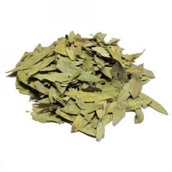 BenimAktar Sinameki Yaprağı Yeni Mahsül 1 Kg - 2