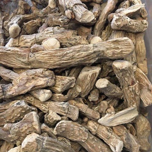 BenimAktar Hazanbel Kökü 100 Gr - 2