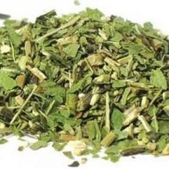 BenimAktar Ekinezya 100 Gr - 2