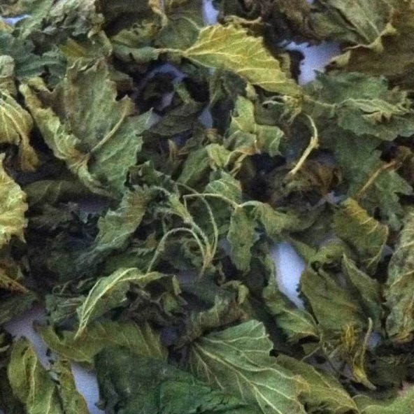 BenimAktar Isırgan Otu Yaprağı 1 Kg - Resim 2