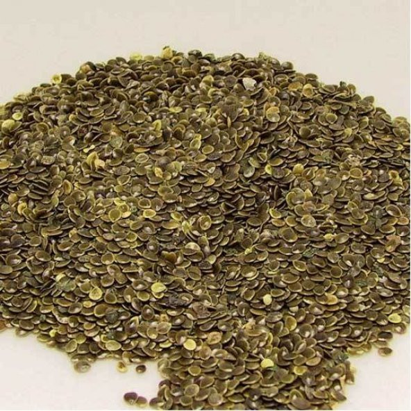 BenimAktar Isırgan Tohumu İlaçlık 1 Kg - 2