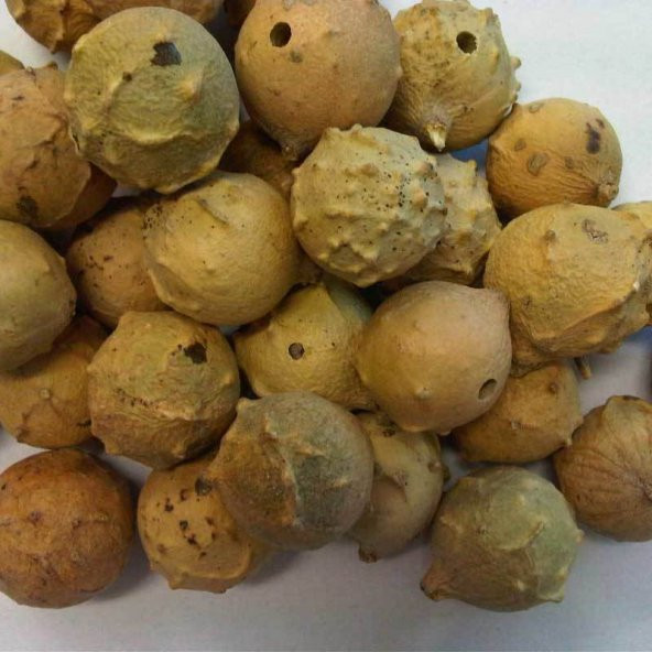 BenimAktar Mazı 100 Gr - 2