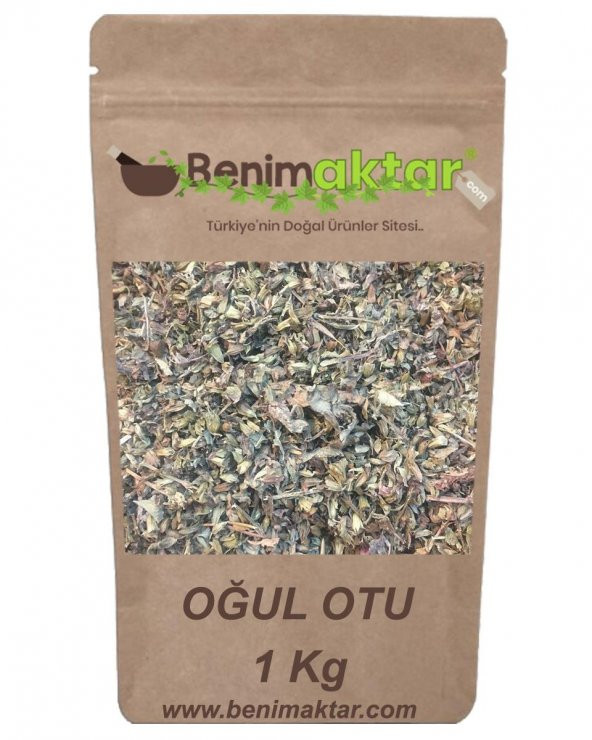 BenimAktar Oğul Otu 1 Kg - 1