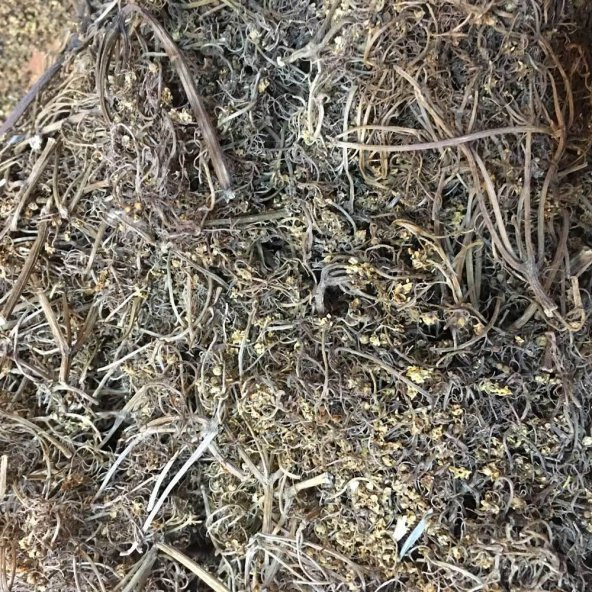 BenimAktar Mürver Çiçeği 250 Gr - 2
