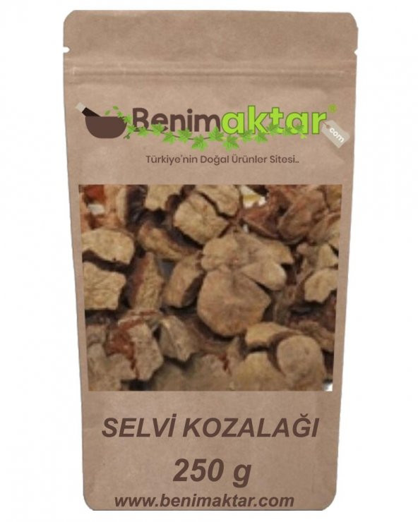 BenimAktar Servi Selvi Kozalağı Yeni Mahsül 250 Gr - 1