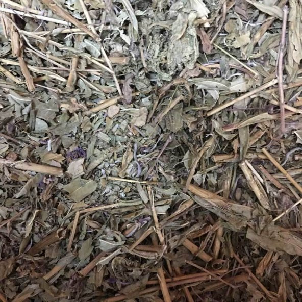 BenimAktar Kara Hindiba Yeni Mahsül 250 Gr - 2