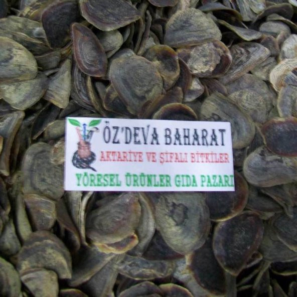 BenimAktar Cin Tırnağı 10 Adet