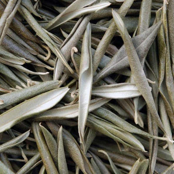 BenimAktar Zeytin Yaprağı 500 Gr - 2