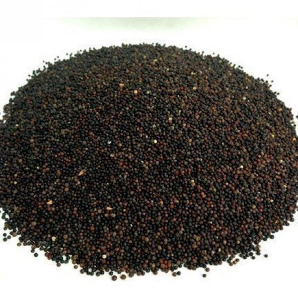 BenimAktar Hardal Tohumu Siyah Yeni Mahsül 1 Kg - 2